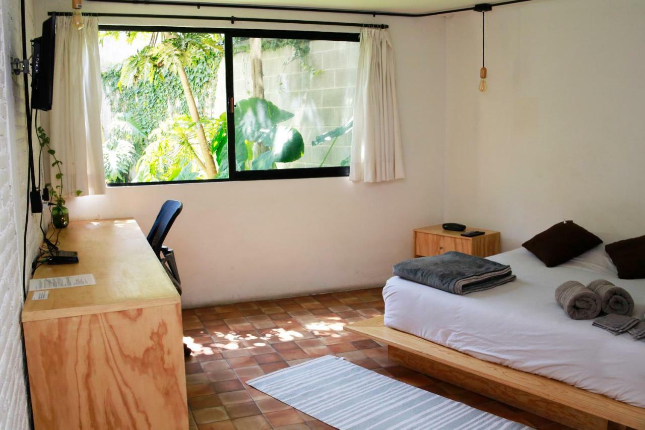 Coyoacan Lofts Appartement