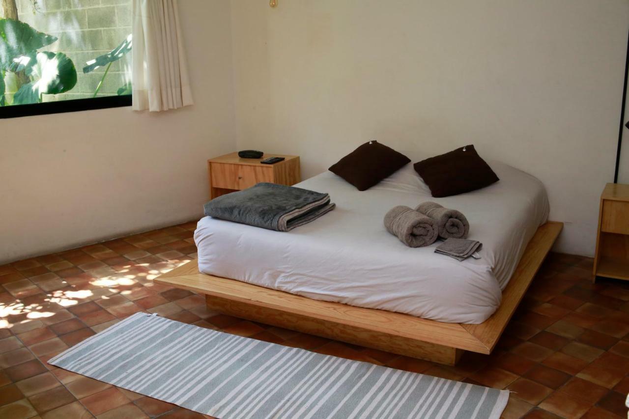 Coyoacan Lofts * Mexico