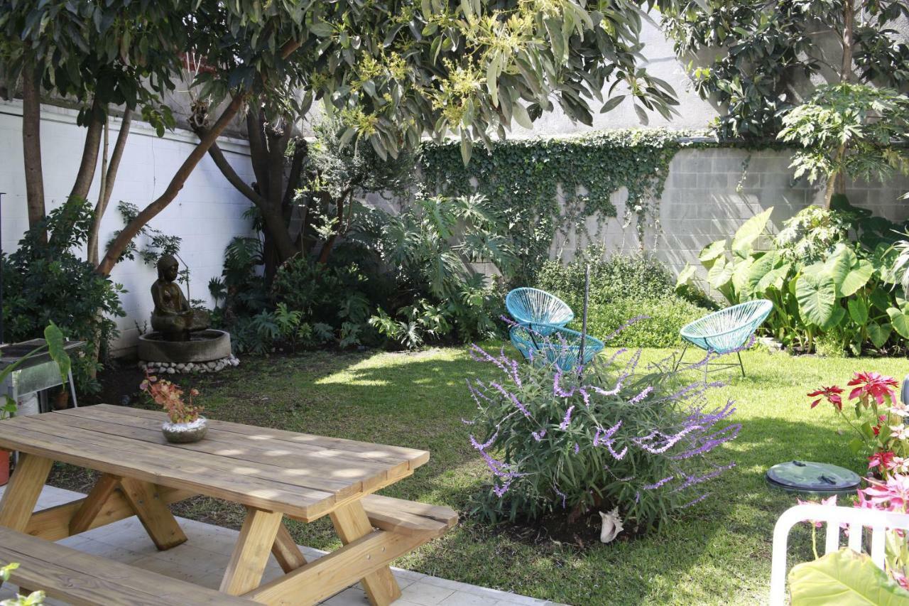 Coyoacan Lofts Appartement